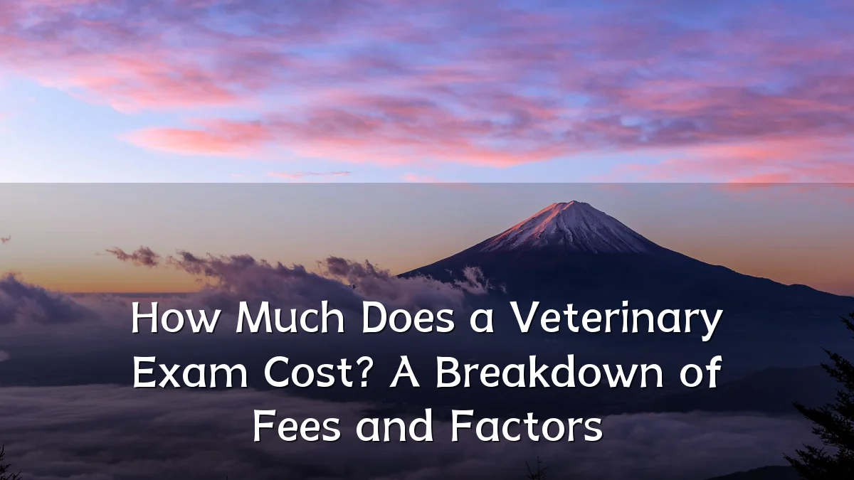 How Much Does a Veterinary Exam Cost? A Breakdown of Fees and Factors