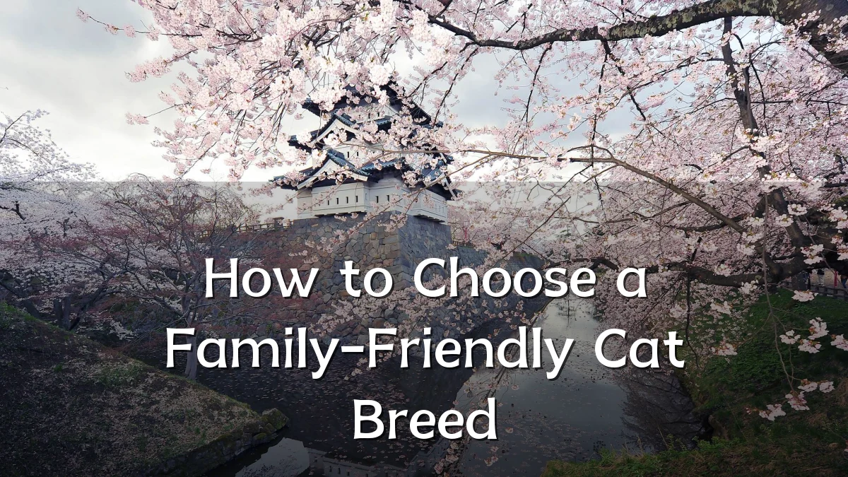 How to Choose a Family-Friendly Cat Breed