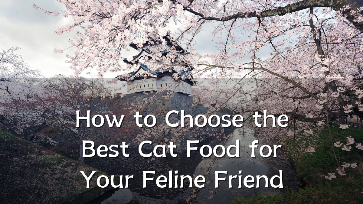 How to Choose the Best Cat Food for Your Feline Friend