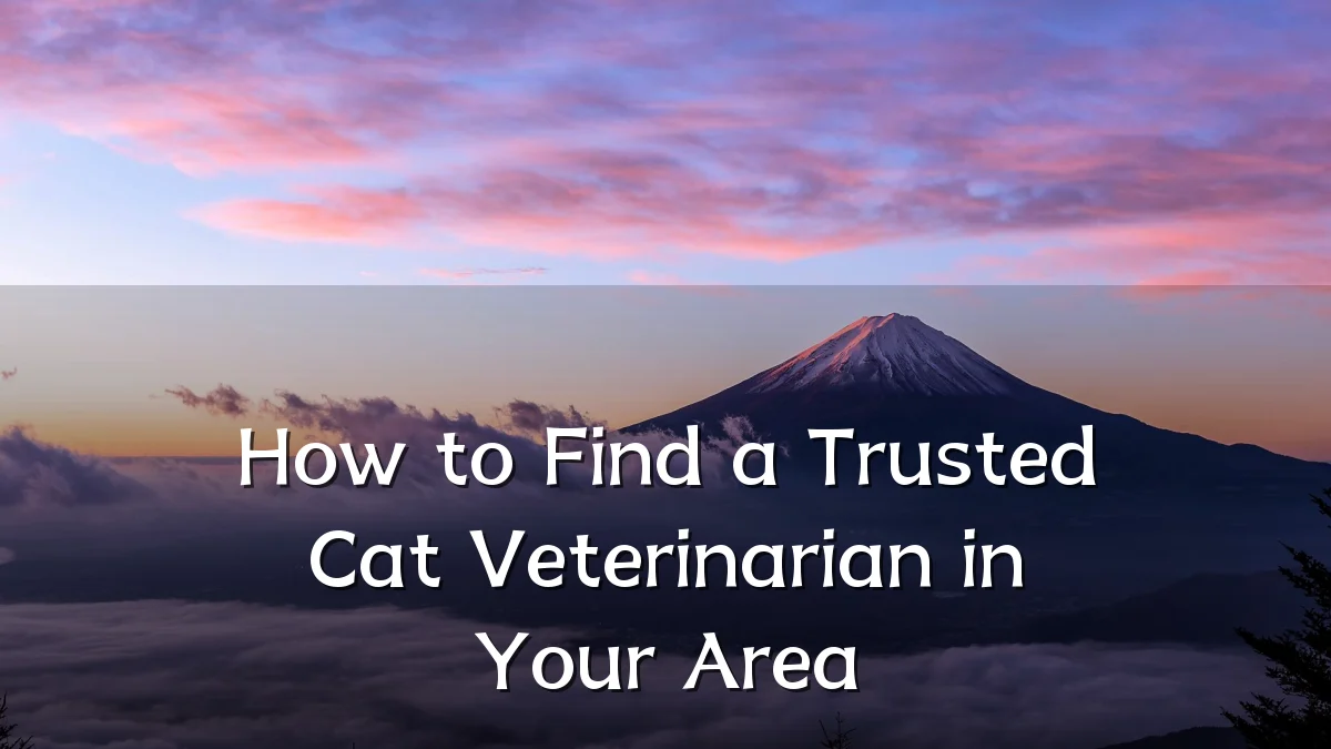 How to Find a Trusted Cat Veterinarian in Your Area