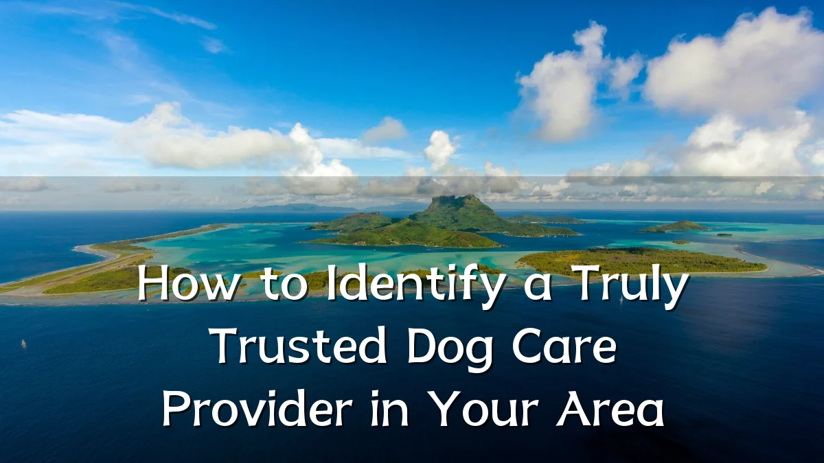 How to Identify a Truly Trusted Dog Care Provider in Your Area