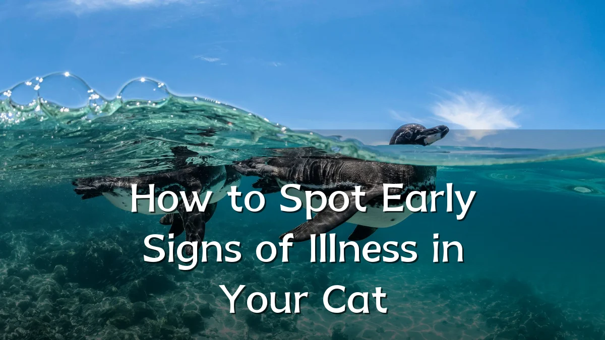 How to Spot Early Signs of Illness in Your Cat