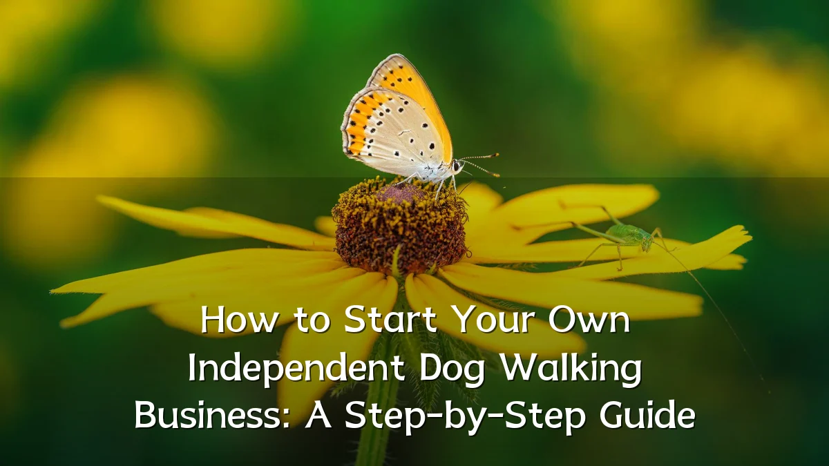 How to Start Your Own Independent Dog Walking Business: A Step-by-Step Guide
