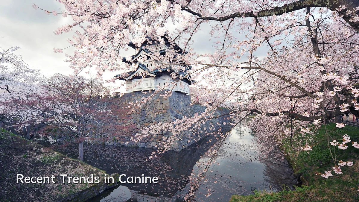 Recent Trends in Canine