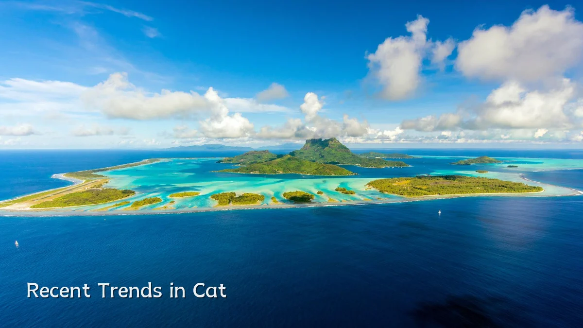 Recent Trends in Cat