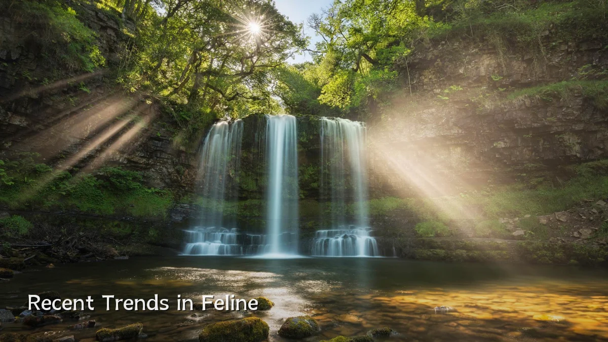 Recent Trends in Feline