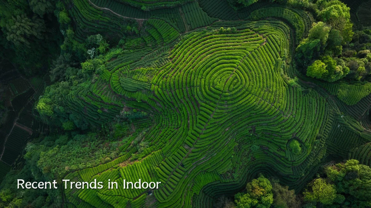 Recent Trends in Indoor