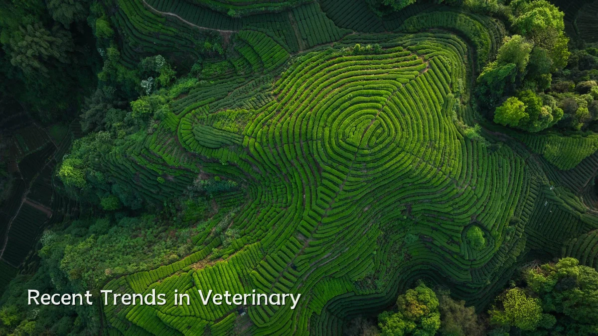 Recent Trends in Veterinary