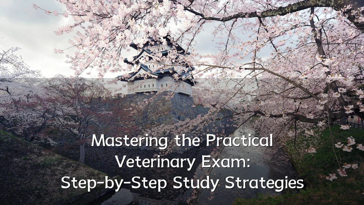 Mastering the Practical Veterinary Exam: Step-by-Step Study Strategies