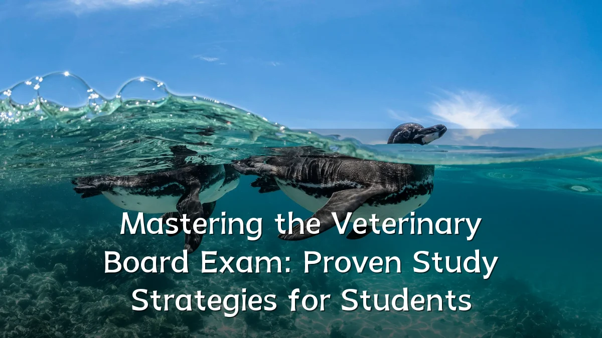 Mastering the Veterinary Board Exam: Proven Study Strategies for Students