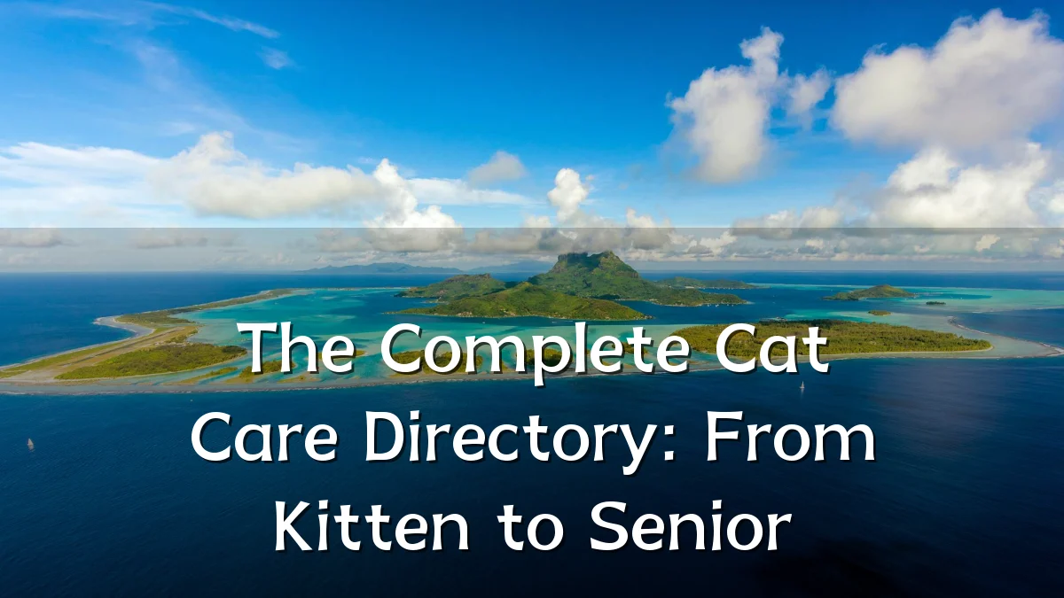 The Complete Cat Care Directory: From Kitten to Senior