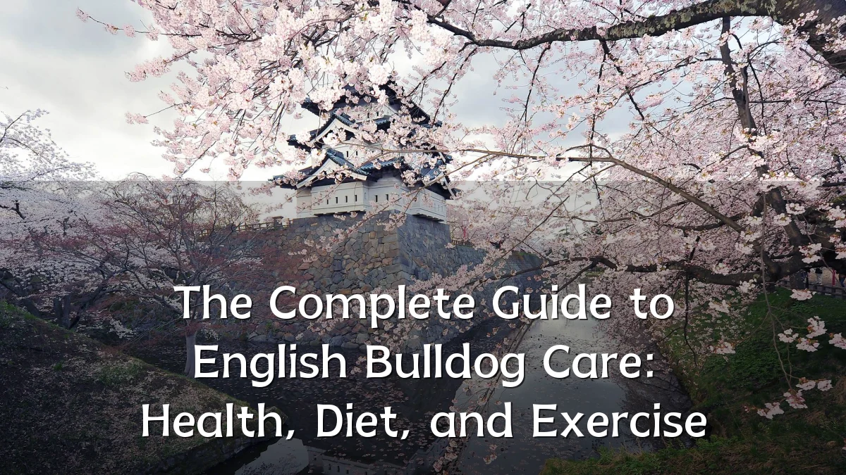 The Complete Guide to English Bulldog Care: Health, Diet, and Exercise