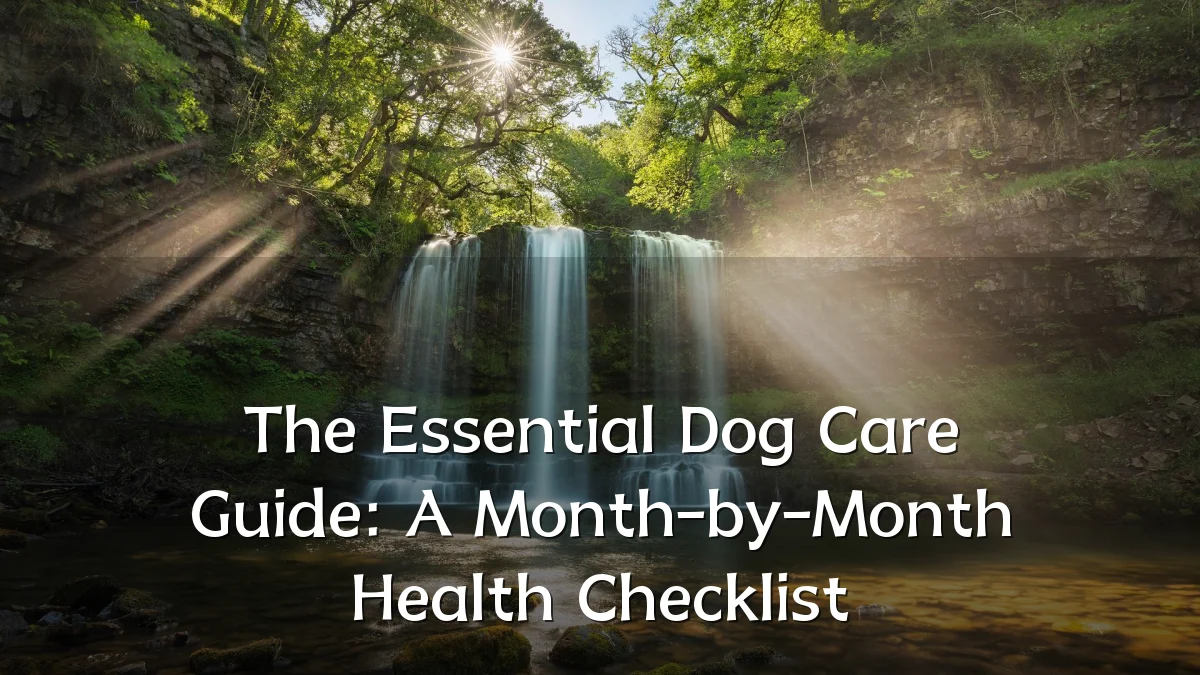 The Essential Dog Care Guide: A Month-by-Month Health Checklist