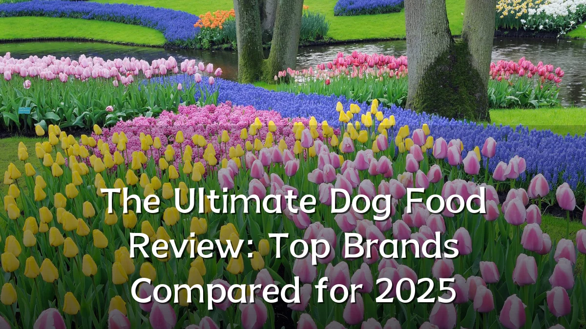 The Ultimate Dog Food Review: Top Brands Compared for 2025