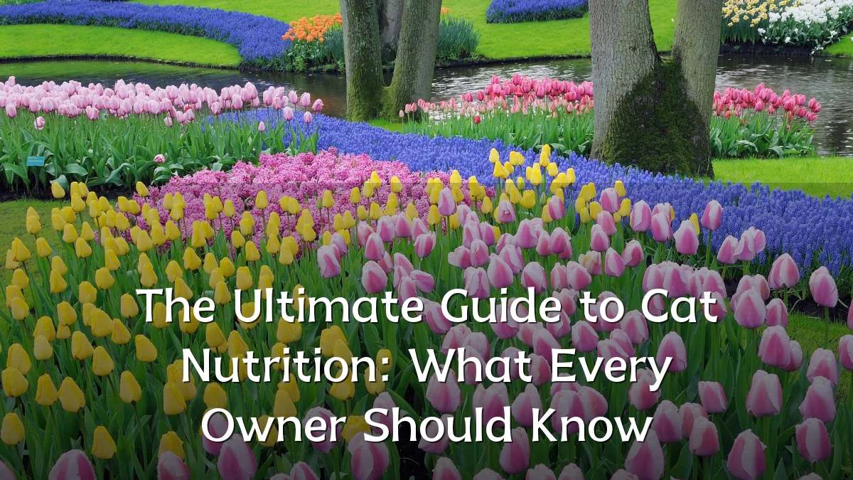 The Ultimate Guide to Cat Nutrition: What Every Owner Should Know
