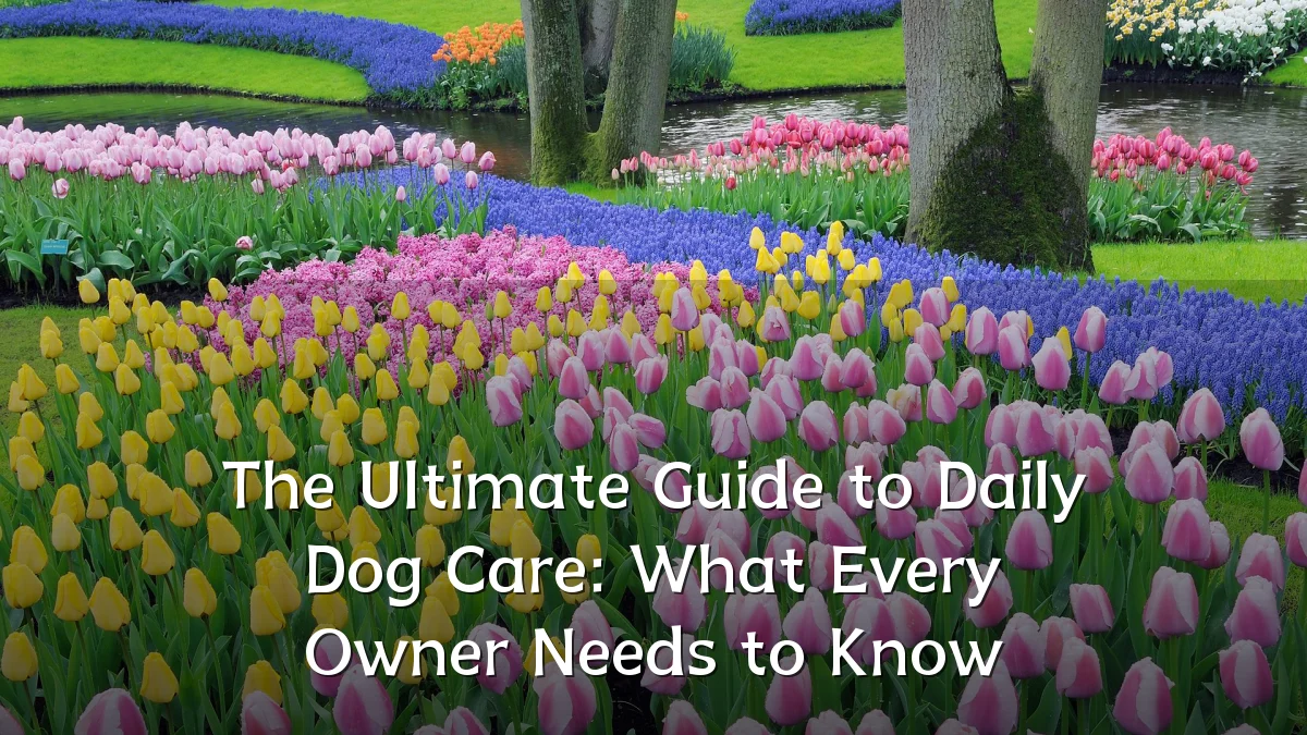 The Ultimate Guide to Daily Dog Care: What Every Owner Needs to Know