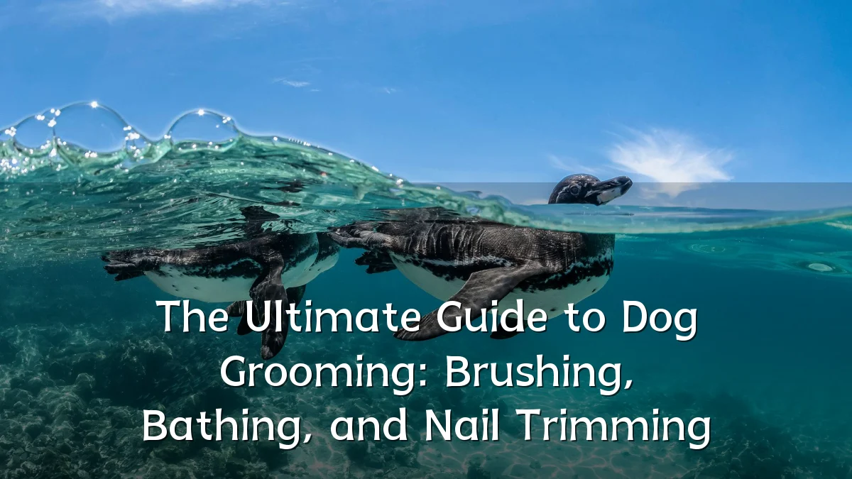 The Ultimate Guide to Dog Grooming: Brushing, Bathing, and Nail Trimming