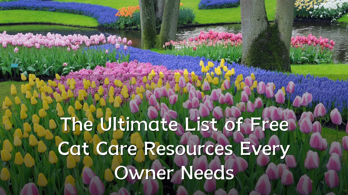 The Ultimate List of Free Cat Care Resources Every Owner Needs