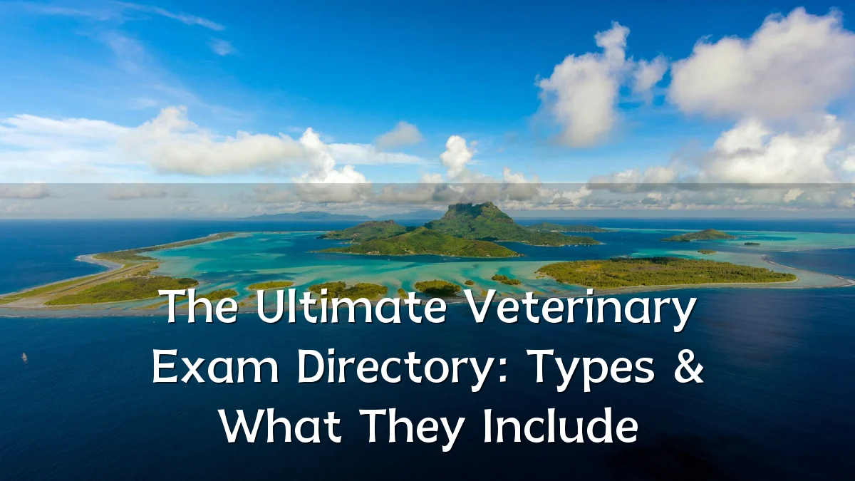 The Ultimate Veterinary Exam Directory: Types & What They Include