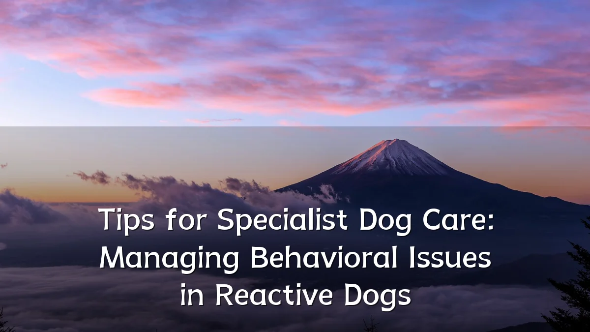 Tips for Specialist Dog Care: Managing Behavioral Issues in Reactive Dogs