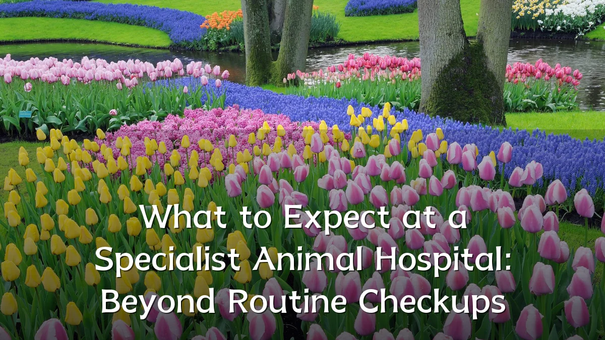 What to Expect at a Specialist Animal Hospital: Beyond Routine Checkups