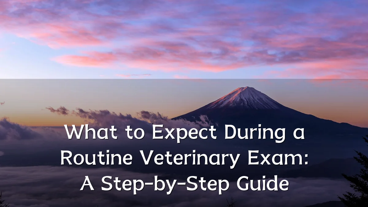 What to Expect During a Routine Veterinary Exam: A Step-by-Step Guide
