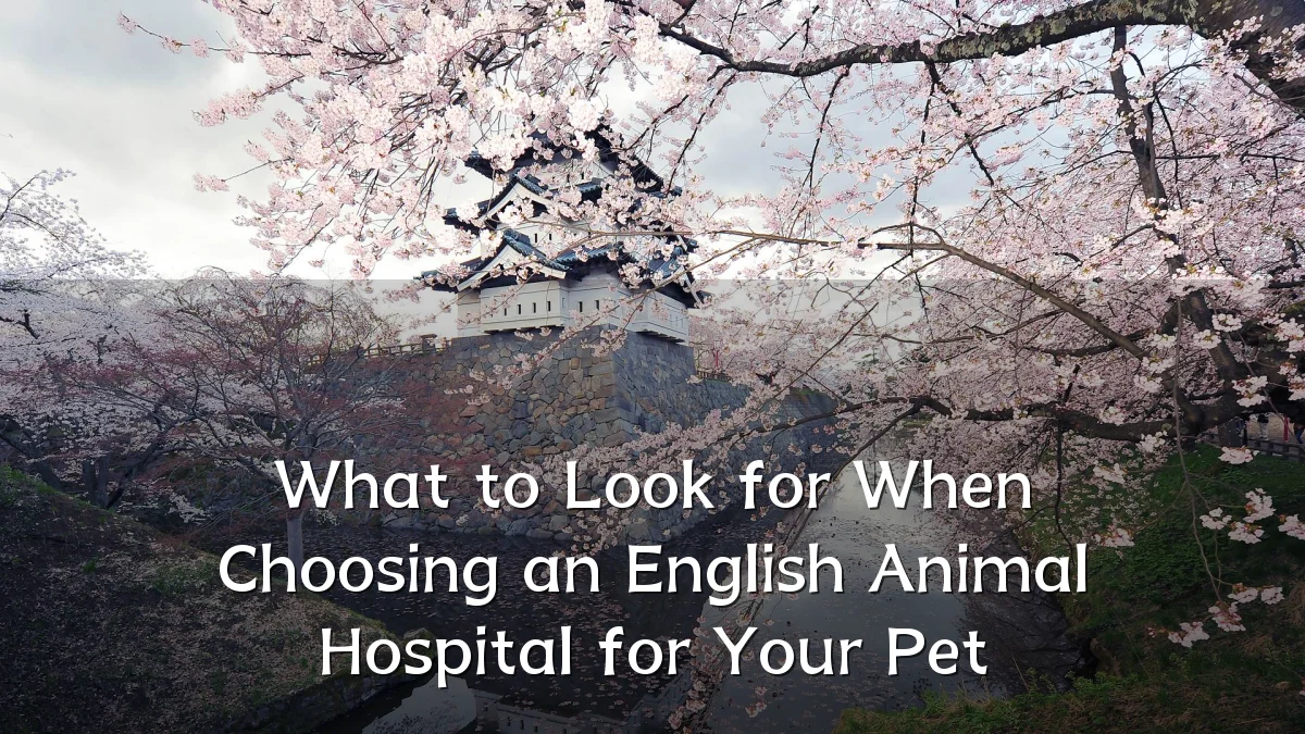 What to Look for When Choosing an English Animal Hospital for Your Pet