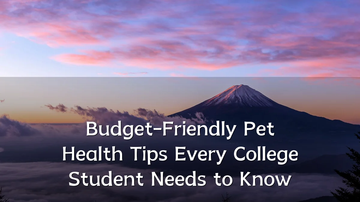 Budget-Friendly Pet Health Tips Every College Student Needs to Know