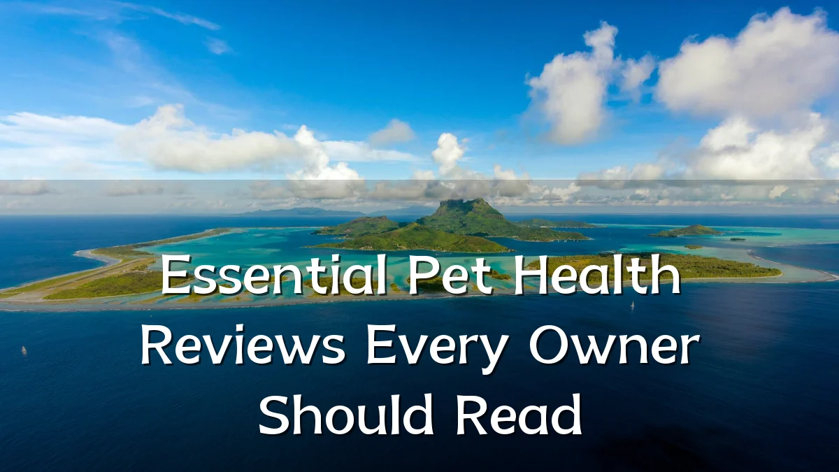 Essential Pet Health Reviews Every Owner Should Read