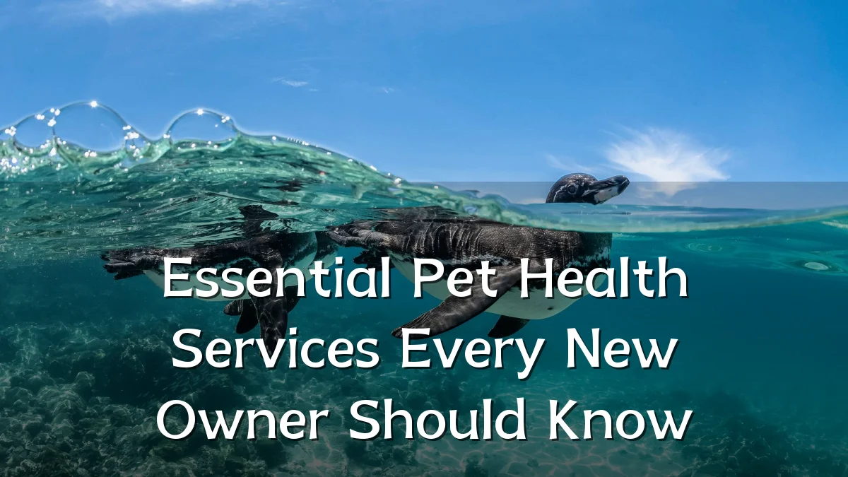 Essential Pet Health Services Every New Owner Should Know