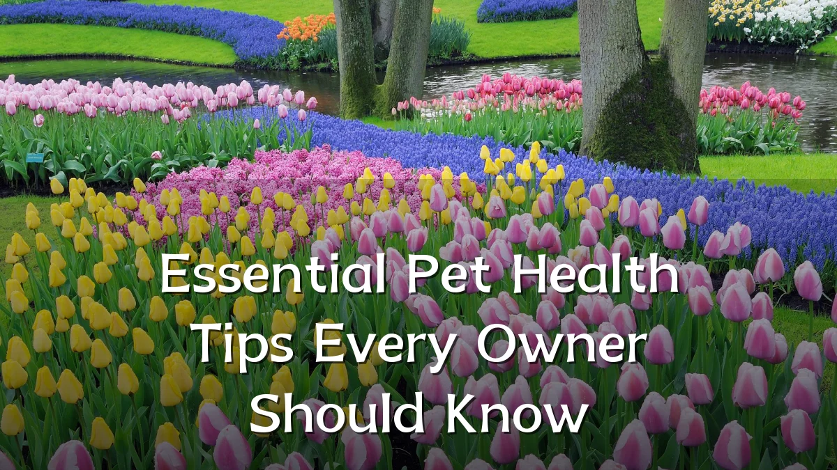 Essential Pet Health Tips Every Owner Should Know