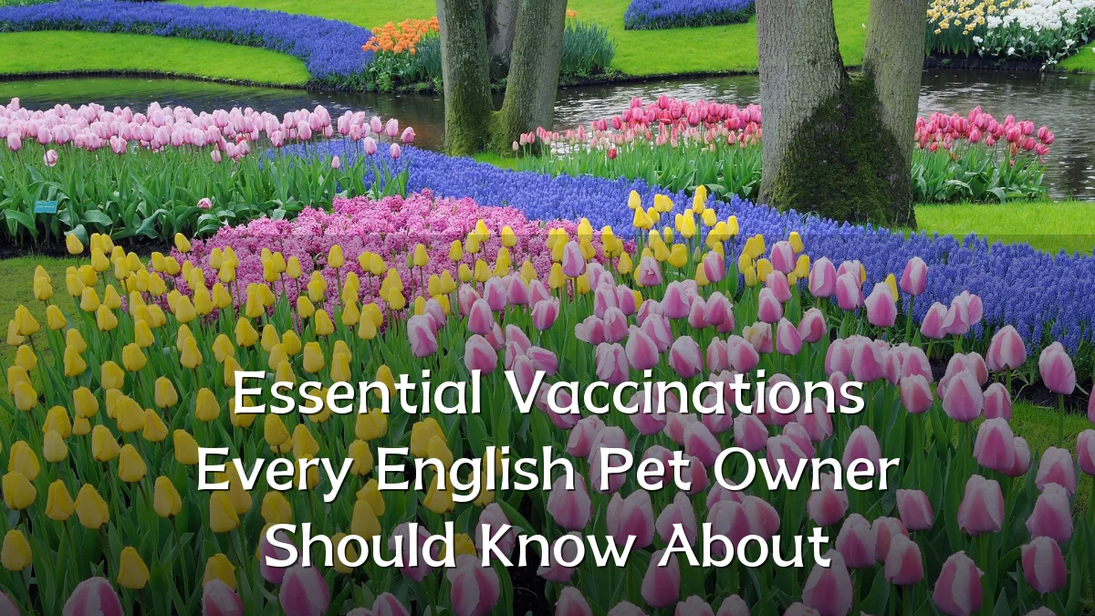 Essential Vaccinations Every English Pet Owner Should Know About