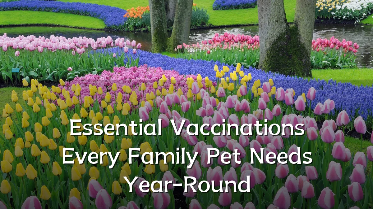 Essential Vaccinations Every Family Pet Needs Year-Round