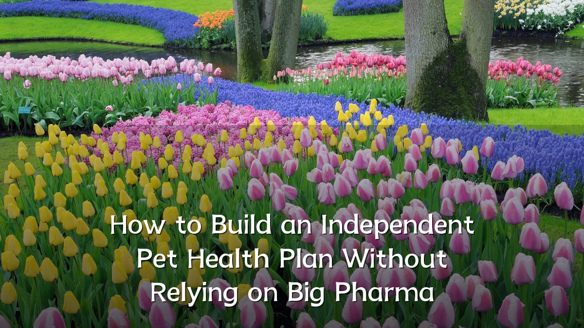 How to Build an Independent Pet Health Plan Without Relying on Big Pharma