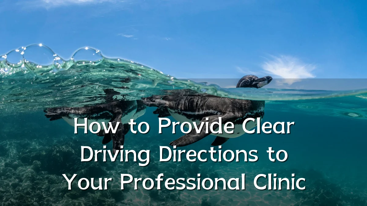 How to Provide Clear Driving Directions to Your Professional Clinic
