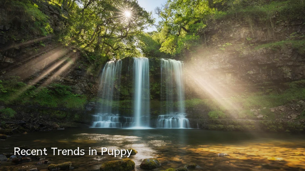 Recent Trends in Puppy