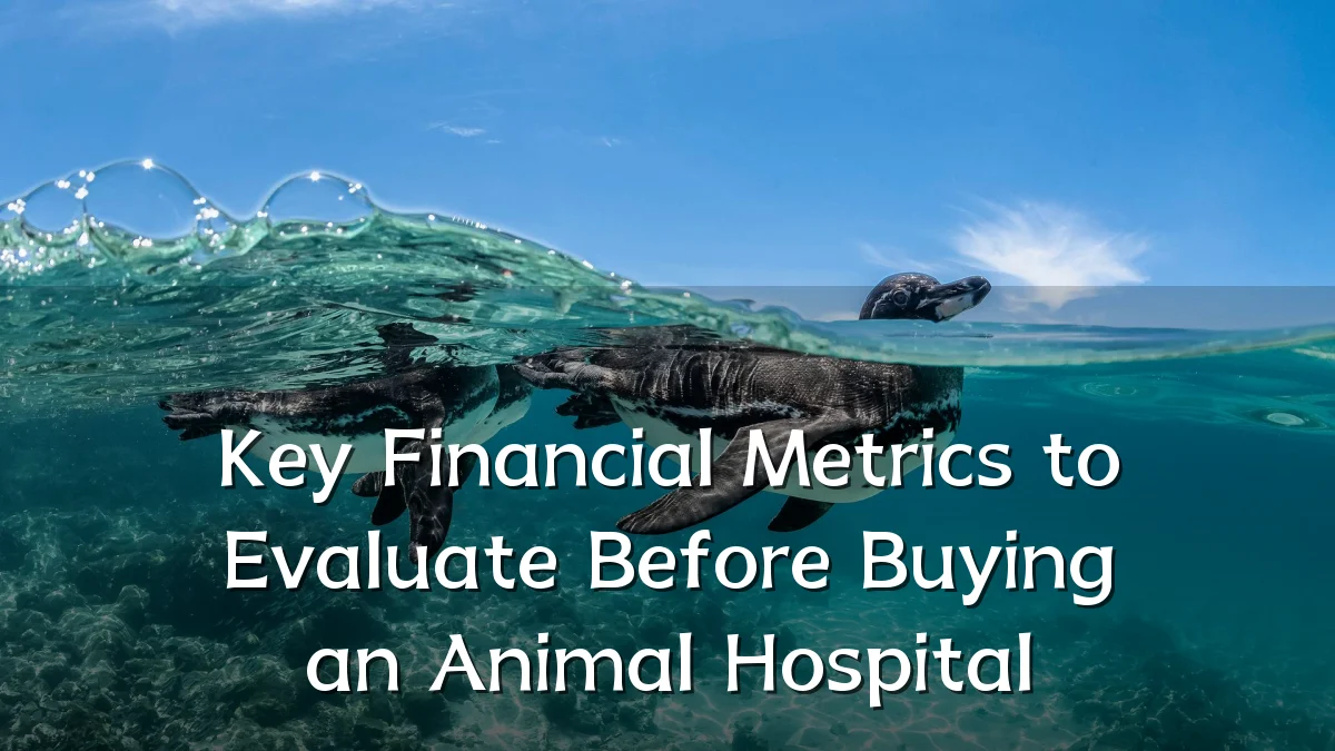 Key Financial Metrics to Evaluate Before Buying an Animal Hospital