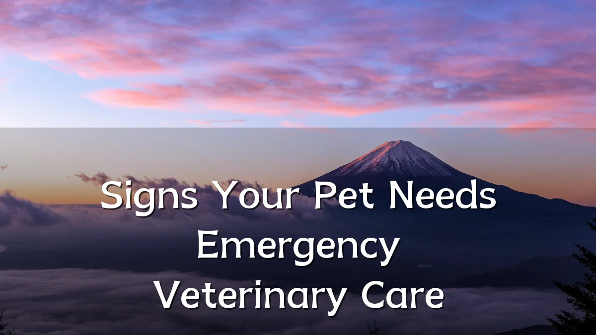 Signs Your Pet Needs Emergency Veterinary Care