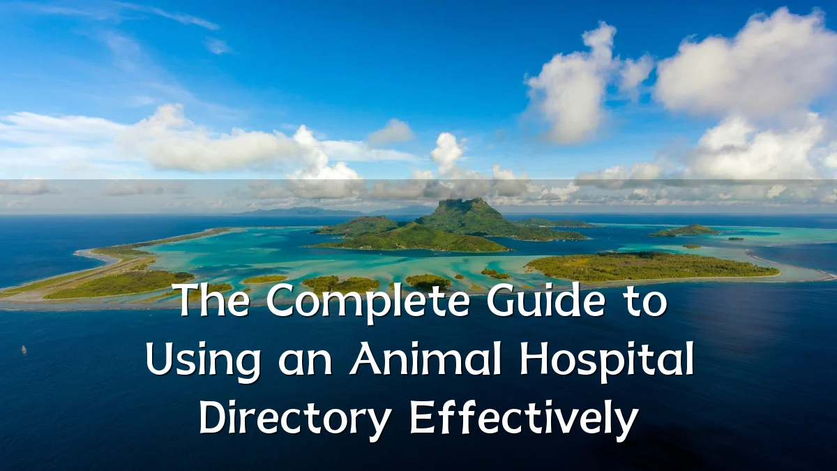 The Complete Guide to Using an Animal Hospital Directory Effectively