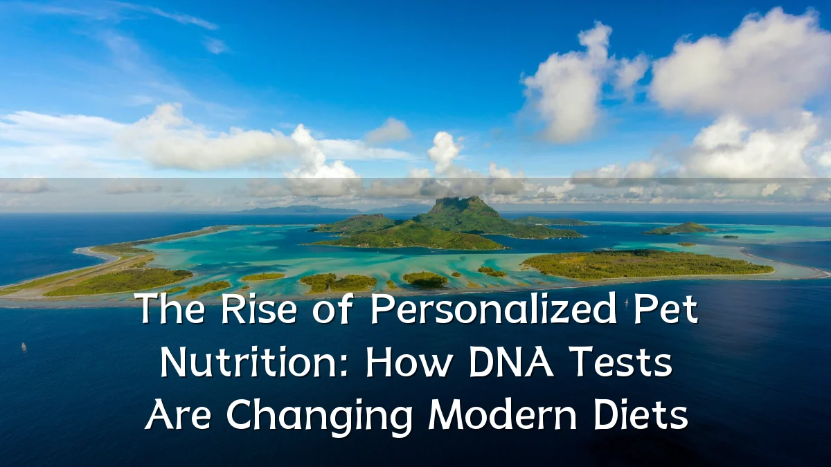 The Rise of Personalized Pet Nutrition: How DNA Tests Are Changing Modern Diets
