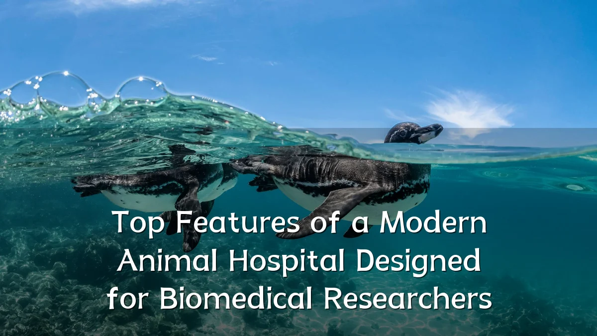 Top Features of a Modern Animal Hospital Designed for Biomedical Researchers
