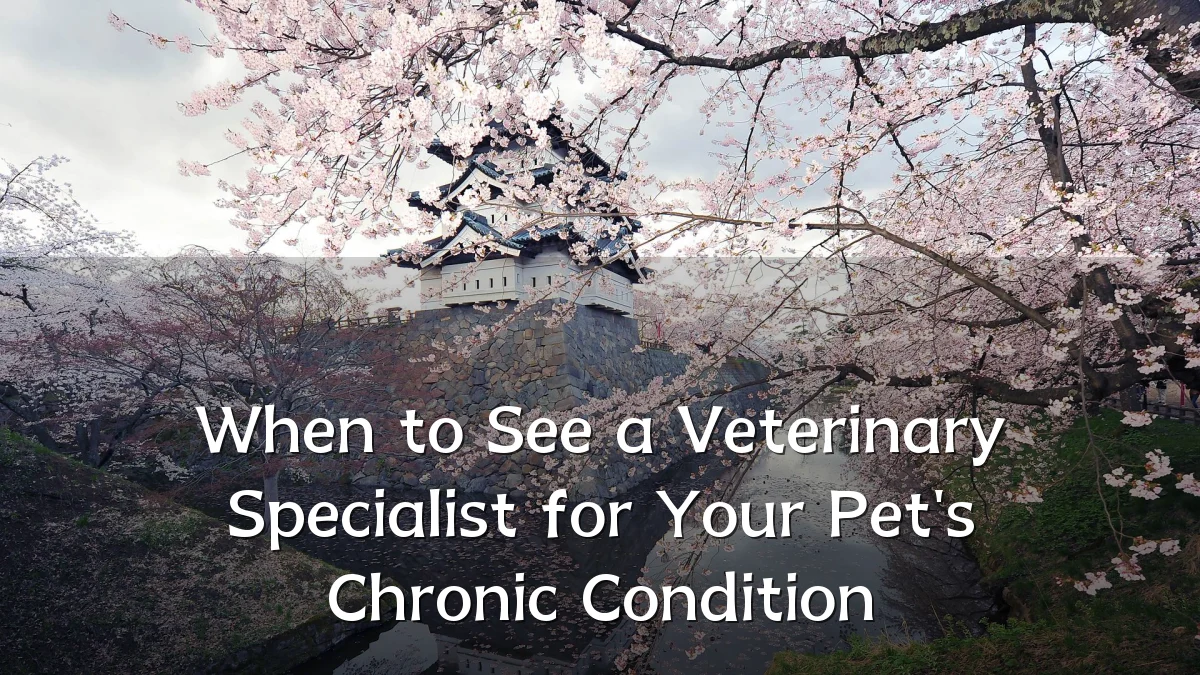 When to See a Veterinary Specialist for Your Pet's Chronic Condition